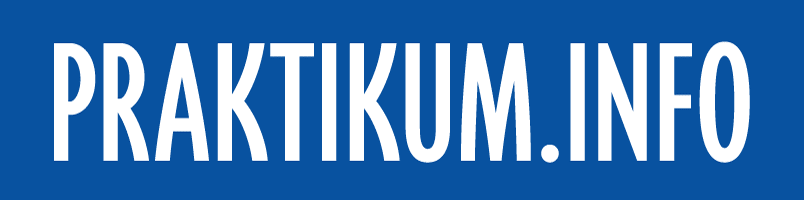 Logo Praktikum.info