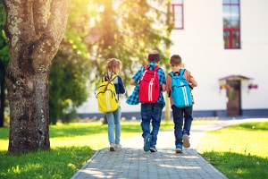 Im Bundestag wurde heute die Einführung einer Grundsicherung für Kinder diskutiert.