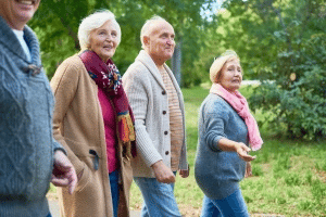 Wie hoch ist die Grundsicherung im Alter/für Rentner?